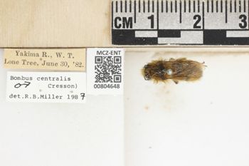 Media type: image;   Entomology 804648 Aspect: labels